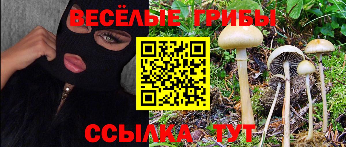 Псилоцибиновые грибы мухоморы Алексеевка